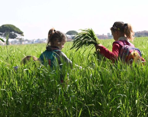 Educazione e nutrimento emozionale